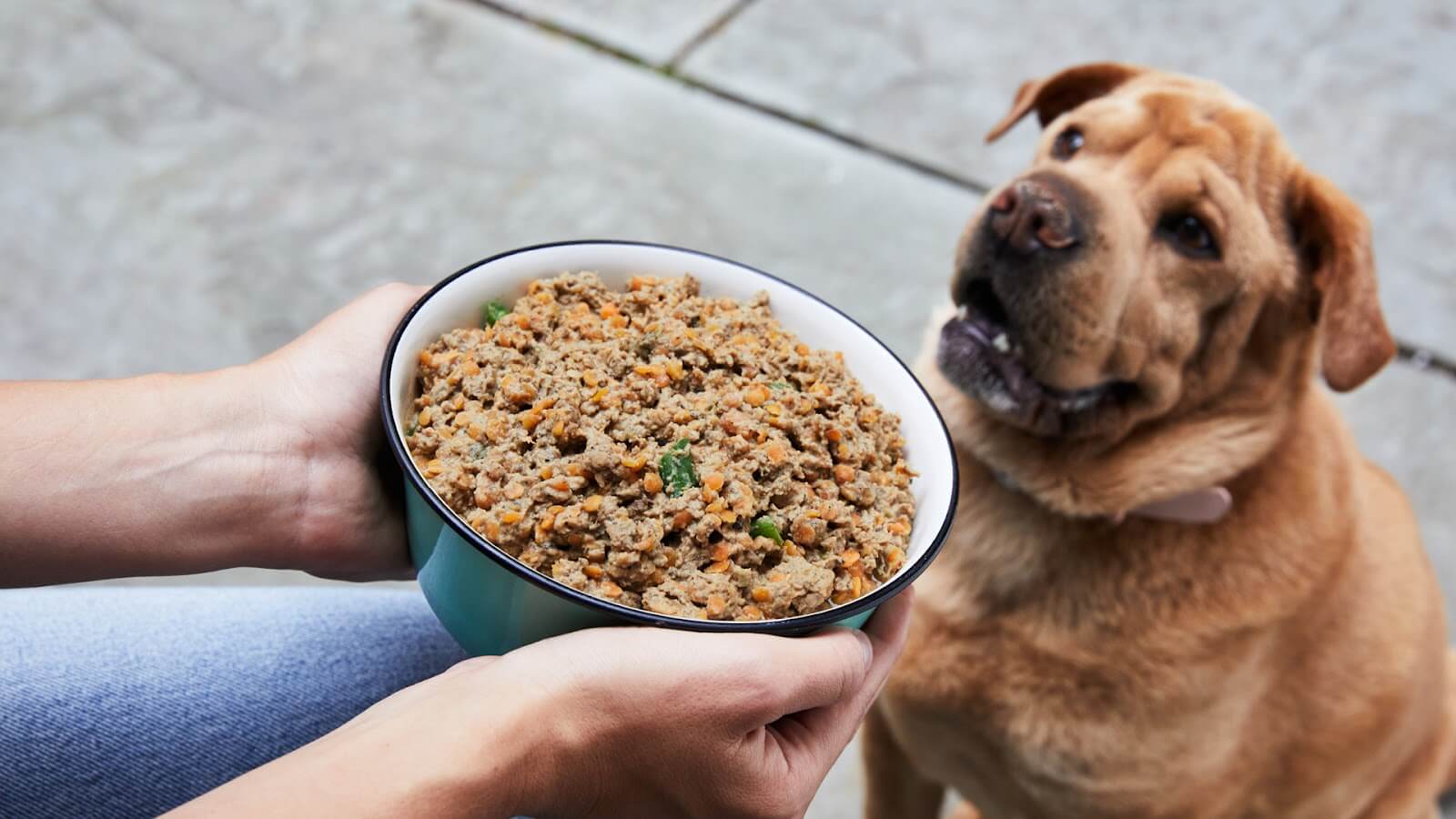 Chicken meal is a commonly used ingredient in pet food