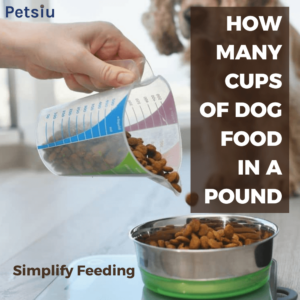 How Many Cups Of Dog Food In A Pound: Simplify Feeding 
