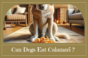 Can Dogs Eat Calamari